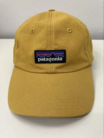 파타고니아 PATAGONIA 캡 모자 P-6 LABEL TRAD