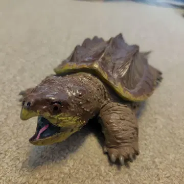 악어거북 피규어 (Safari사)