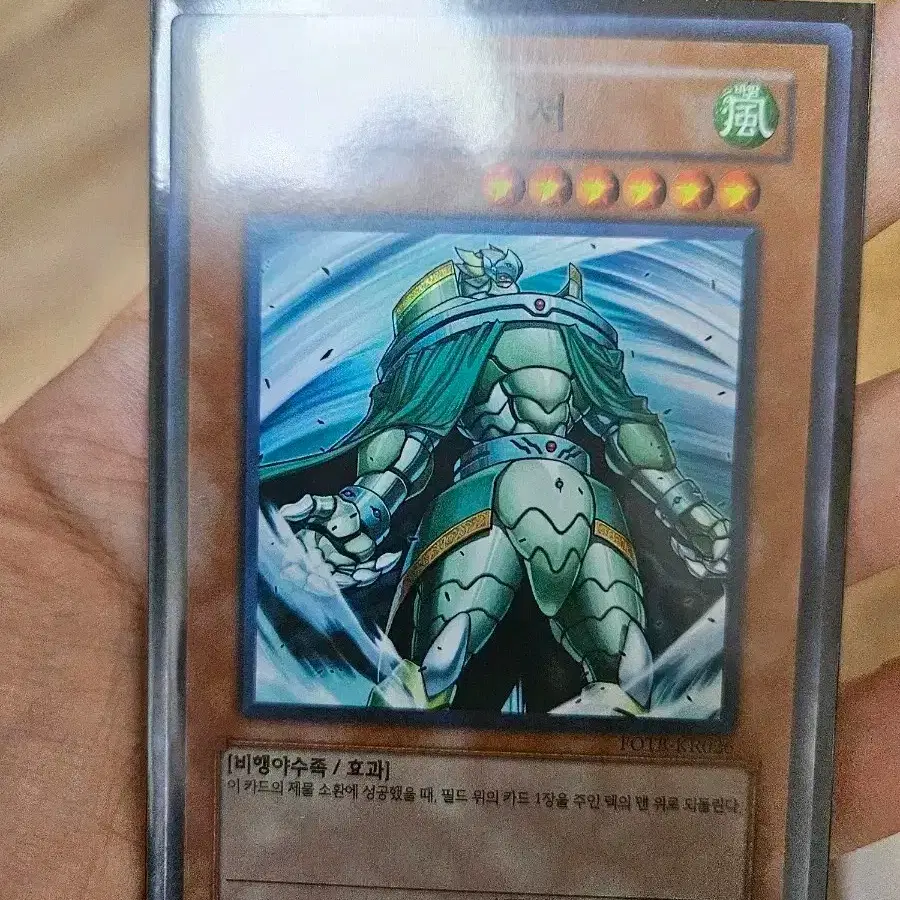 Yu-Gi-Oh! Wind Monarch Caius the Shadow Monarch Super Rare on Bunjang  Global Site.
