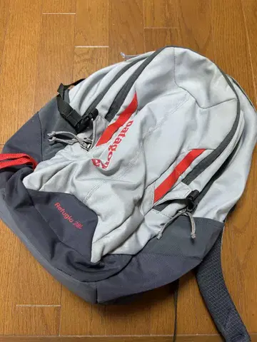 파타고니아 백팩
