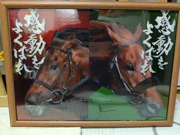[ 경마 기념사진 세트 ] 서러브레드 컬렉션 도우듀스 기념 타월