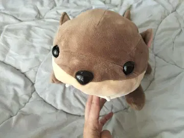 봉제 인형