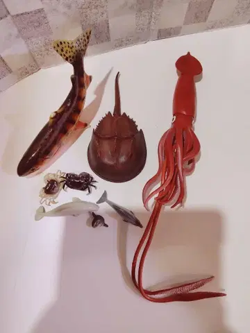 해양 생물 피규어 세트