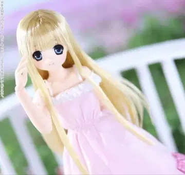 즉시 발송 아존 사하라 sahra Sweet Days 코디네이트 인형