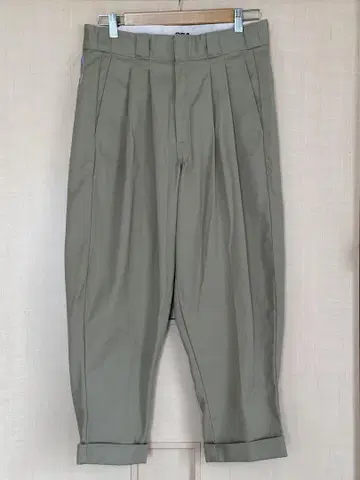 MODESTY industry Custom 2tuck PT Dickies