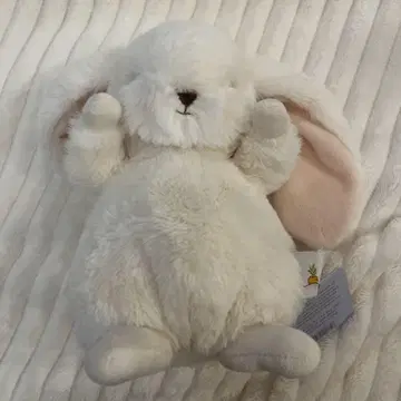 토끼 봉제 인형 Bunnies by the Bay