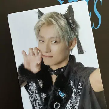 초특급 NINE LIVES 완전 생산 한정판 트레이딩 카드 알로하