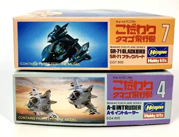 하세가와 타마고 비행기 SR-71 블랙버드 A-6 인트루더
