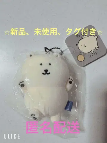 나가노 수족관 북극곰