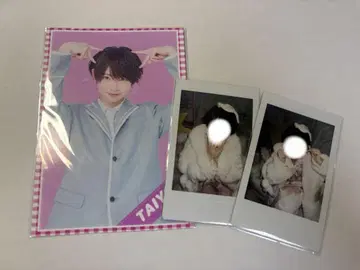 러브시크 타이요 생탄 폴라로이드 굿즈