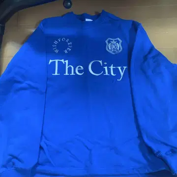 WISH FOREVER 파랑 S 트레이닝복 'The City'