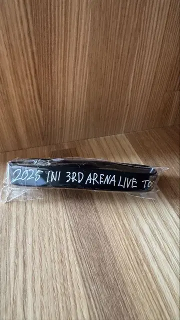 2025 INI 3RD ARENA LIVE TOUR 러버 밴드 니시