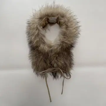 쉽스 퍼 티펫