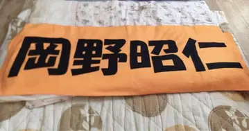포르노그라피티 오카노 아키히토 최애 타월