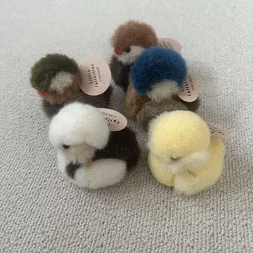 카모 리틀 컬렉션 봉제 인형 세키구치 5마리 세트