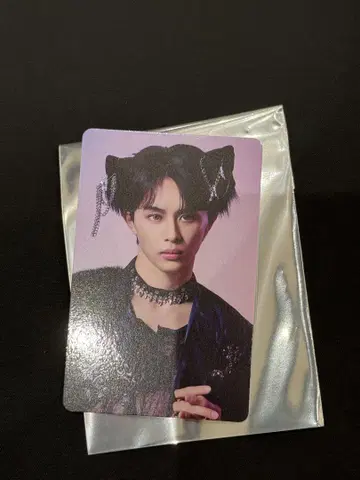 초특급 NINE LIVES 타워 레코드 트레이딩 카드 타쿠야