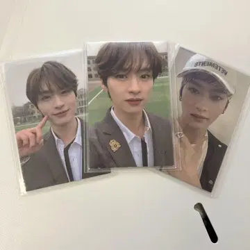 고생 리노