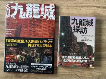 대도해 구룡성 구룡성 탐방 묶음 판매