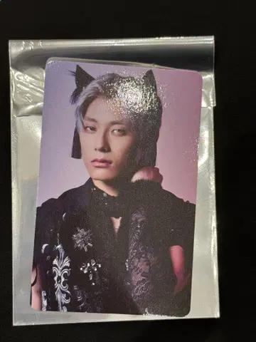 초특급 NINE LIVES 타워 레코드 트레이딩 카드 알로하