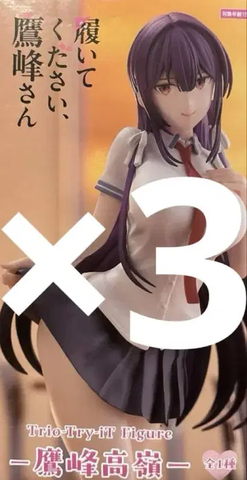 신어주세요, 타카미네 씨 피규어 타카미네 타카네 3개 세트
