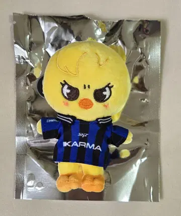 KARMA SKZOOver 포가리