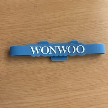 SEVENTEEN WONWOO 원우 bethesun 데코링 펜라