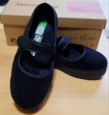 알베롤라 멜리 제인 36