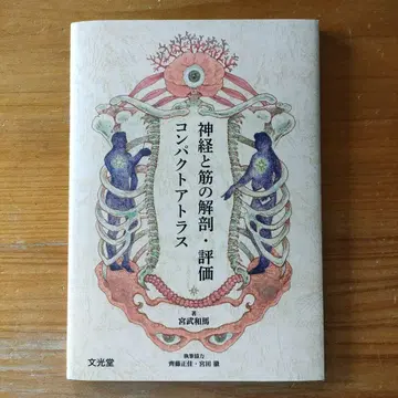 신경과 근육의 해부 평가 컴팩트 아틀라스
