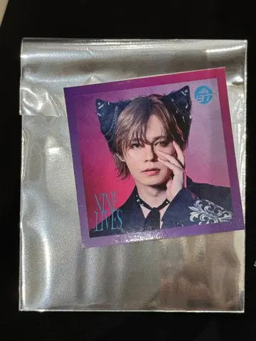 초특급 NINE LIVES 타워 레코드 스티커 카이 2
