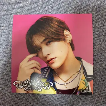 세키 테타 TETTA 아더 자켓