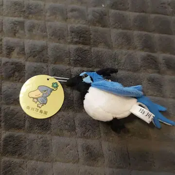 카케가와 화조원 코리칸무리산 잭 봉제 인형 스트랩 포함