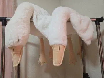 흐물흐물 오리 3 봉제 인형 2종 세트 5