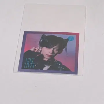 초특급 료가 스티커