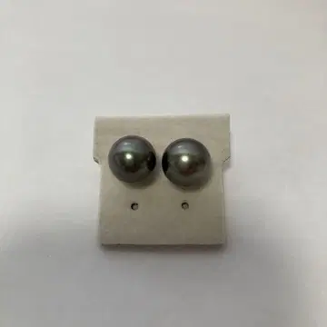 타히티안 펄 귀걸이