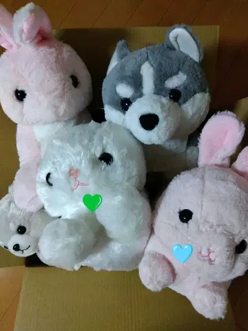 축 늘어진 시베리안 허스키, 느긋한 고양이 등 봉제 인형 4개 세트