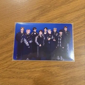 초특급 NINE LIVES 타워 레코드 트레이딩 카드 단체