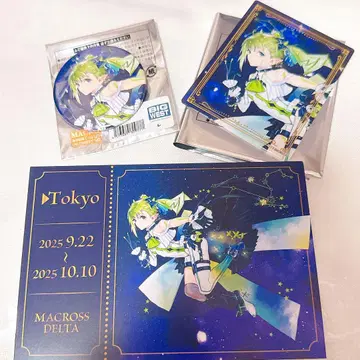 초시공 은하 기행 MACROSS JOURNEY 레이나