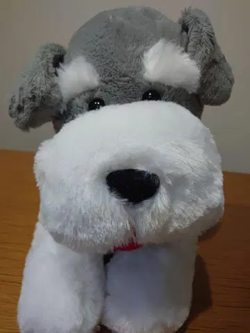 슈나와 밥 BIG 봉제 인형
