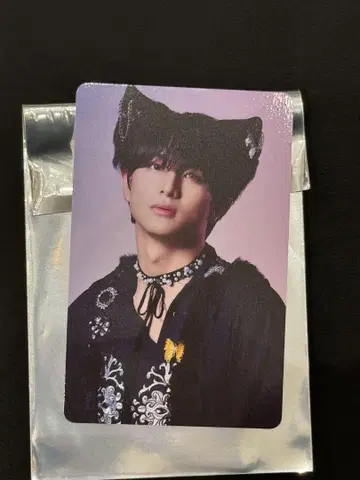 초특급 NINE LIVES 타워 레코드 트레이딩 카드 하루