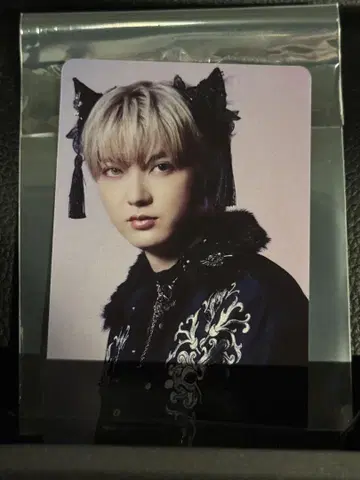 초특급 NINE LIVES 타워 레코드 트레이딩 카드 유키