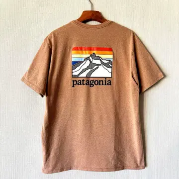 Patagonia 레귤러 핏 T셔츠 ( S )