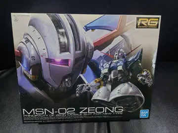 RG 지옹