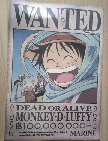 ONEPIECE 원피스 루피 현상수배 WANTED 포스터 레어