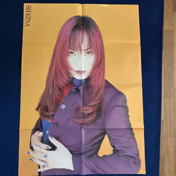 SHIZNA & Ryuichi Kawamura 포스터 세트