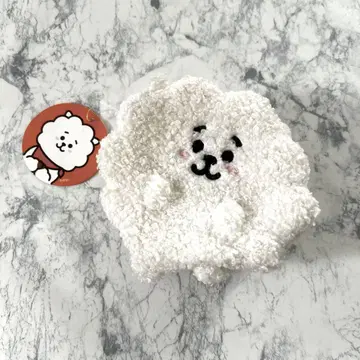 코인 케이스 RJ BT21 진 BTS JIN 봉제 인형 석진