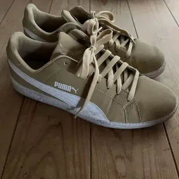 PUMA 베이지 로우컷 스니커즈