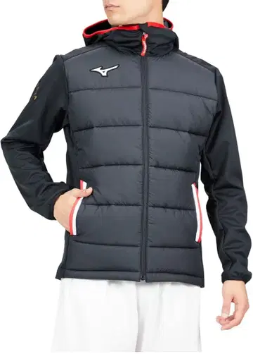 미즈노 모렐리아