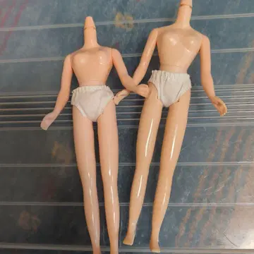 네오 브라이스 부품 스킨 컬러 바디만