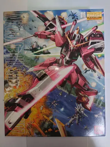 MG 1/100 인피니트 저스티스 건담