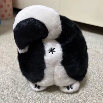 보물 상자
